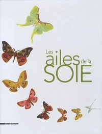 Les ailes de la soie
