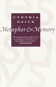 Metaphor &amp; Memory