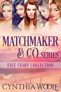 Matchmaker &amp; Co. Five Story Collection