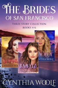 The Brides of San Francisco Three Story Collection, Books 4-6