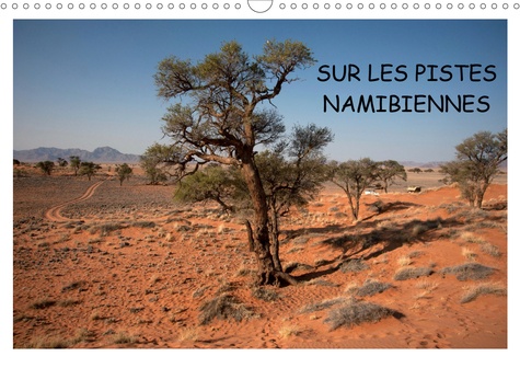 CALVENDO Nature  Sur les pistes namibiennes (Calendrier mural 2020 DIN A3 horizontal). À la découverte de la Namibie (Calendrier mensuel, 14 Pages )