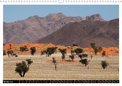 CALVENDO Nature  Sur les pistes namibiennes (Calendrier mural 2020 DIN A3 horizontal). À la découverte de la Namibie (Calendrier mensuel, 14 Pages )