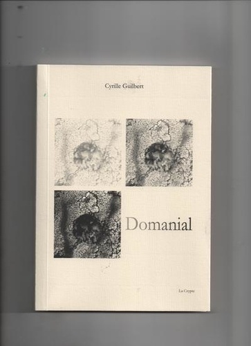 Cyrille Guilbert - Domanial.