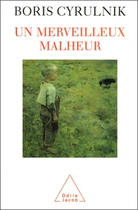 Un merveilleux malheur