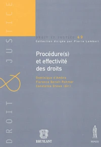 Procédure(s) et effectivité des droits