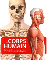 Le corps humain