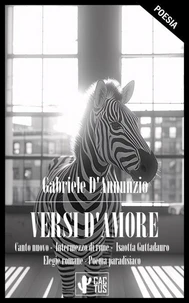 Versi d'amore