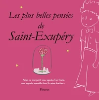 Les plus belles pensées d'Antoine de Saint-Exupéry