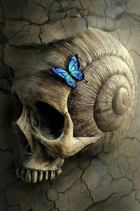 El Observado