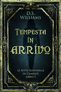  D.S. Williams - Tempesta in arrivo - Le sette sentinelle di Camelot, #1.