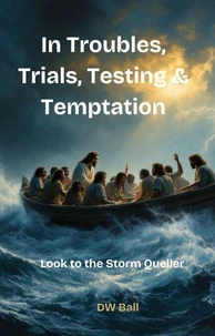 In Troubles, Trials, Testing, and Temptation Look to the Storm Queller