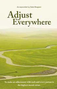 Adjust Everywhere