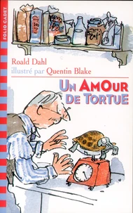 UN AMOUR DE TORTUE