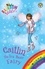Caitlin the Ice Bear Fairy. The Magical Animal Fairies Book 7