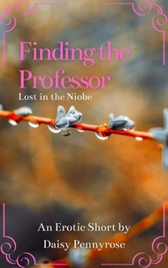Finding the Professor While Lost in Her Ship