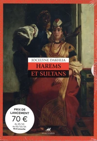 Harems et Sultans : Genre et despotisme au Maroc et ailleurs, XIVe-XXe siècle