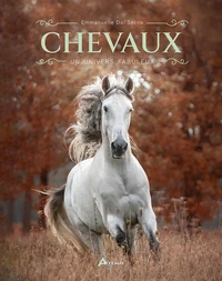 Chevaux