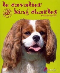Le cavalier King Charles