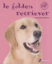 Le golden retriever