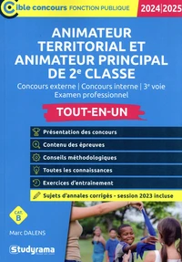 Animateur territorial, animateur principal de 2e classe Tout-en-un