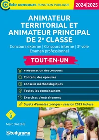 Animateur territorial, animateur principal de 2e classe Tout-en-un