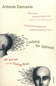 Looking for Spinoza