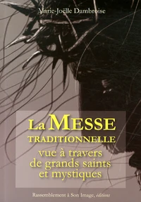 La messe traditionnelle vue à travers de grands saints et mystiques