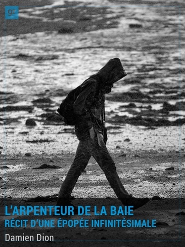 Damien Dion - L'Arpenteur de la Baie - Récit d'une épopée infinitésimale.