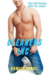 Cleaners Inc.