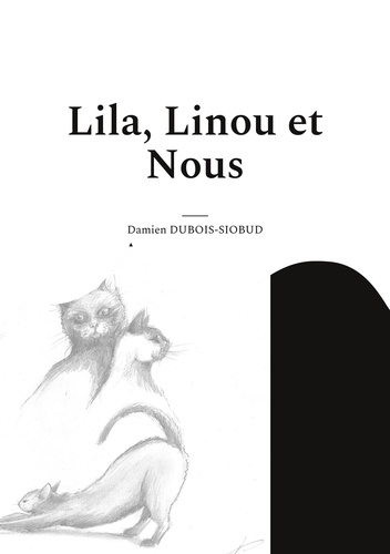 Du Zinzolin pour Pierrot Tome 2 Lila, Linou et Nous