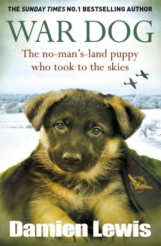 War Dog. The no-man's-land puppy who took to the skies