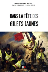 Dans la tête des gilets jaunes