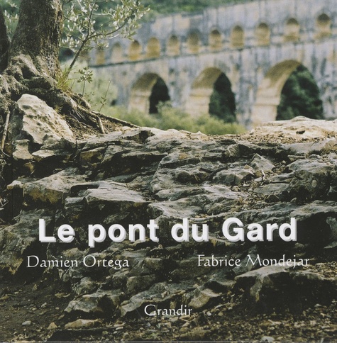 Damien Ortega - Le Pont du Gard.