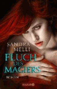 Dämmerlande 03. Fluch des Magiers