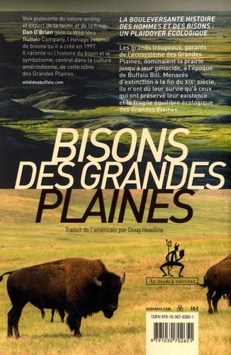 Bisons des grandes plaines