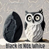 Black is Not White