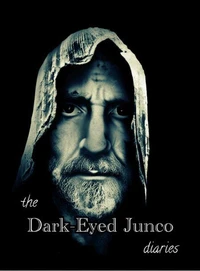 The Dark-Eyed Junco Diaries