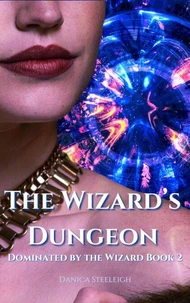 The Wizard's Dungeon (Dominated by the Wizard Book 2)