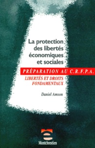 Daniel Amson - La Protection Des Libertes Economiques Et Sociales. Libertes Et Droits Fondamentaux.