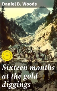 Sixteen months at the gold diggings