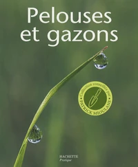 Pelouses et gazons