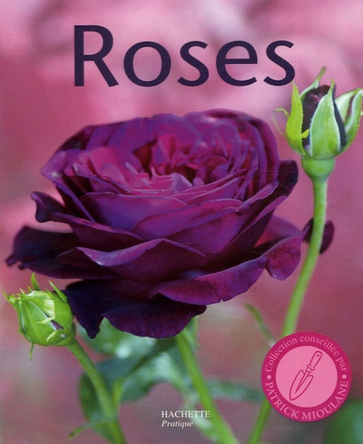 Daniel Brochard - Roses - 100 variétés de roses pour répondre à tous vos besoins. Les conseils d'un spécialiste pour bien choisir et entretenir vos rosiers.
