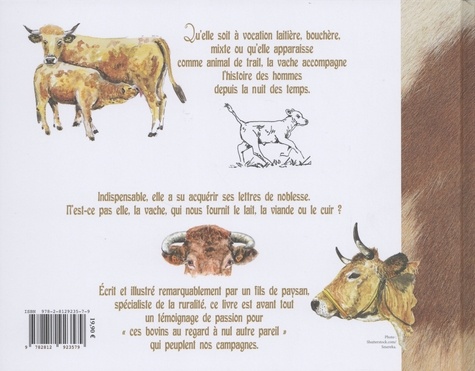 Vaches de nos régions