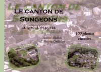 Daniel Delattre - Le canton de Songeons à vol d'oiseau.