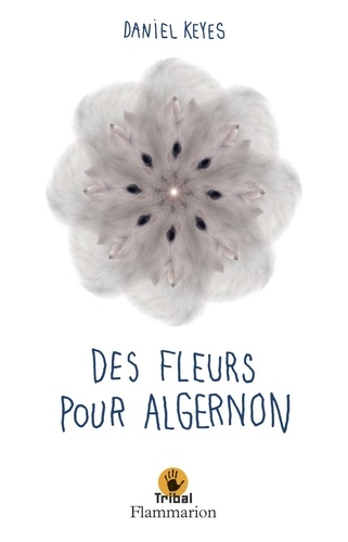 Des fleurs pour Algernon