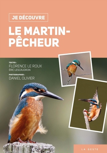 Le martin-pêcheur