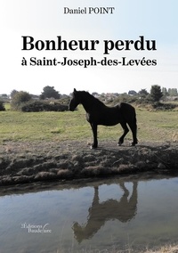 Daniel Point - Bonheur perdu à Saint-Joseph-des-Levées.