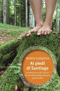 Ai piedi di Santiago