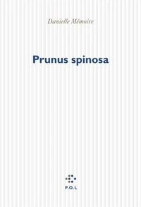 Prunus spinosa