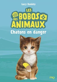 Chatons en danger